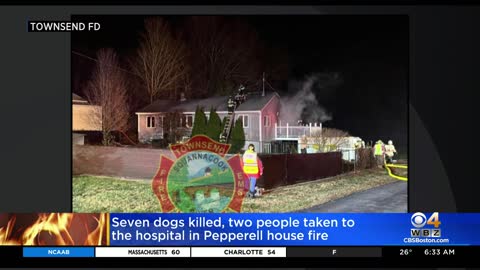 7 dogs killed, 2 people hospitalized in Pepperell house fire