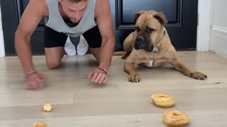 Donut Race Between Man and Dog