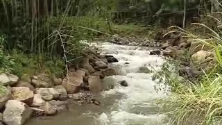 Creciente súbota del río Suratá