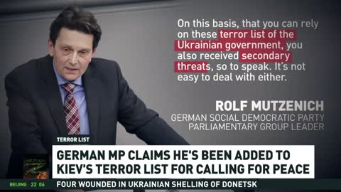 German MP claims he’s been added to ‘terror list’ for calling for peace