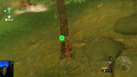 SIDEWAYS255 VOD : CRUSING WITH KOROKS LIVE : DRAGON HUNTING ON THE SIDE : ZELDA TEARS OF THE KINGDOM