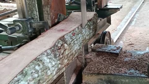 Elegant wood mahoni sawing process wood manufacturing furniture material