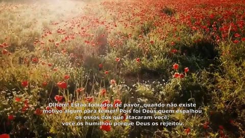 SALMOS 53