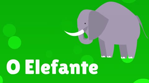 Learn Animal Names in BRAZILIAN PORTUGUESE (with Gender Articles)