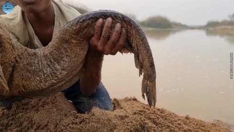 Amazing Hand Fishing Video River Side #Fishing