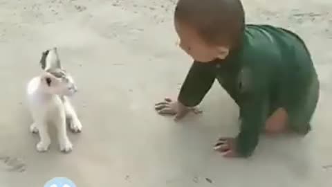 Kids cat