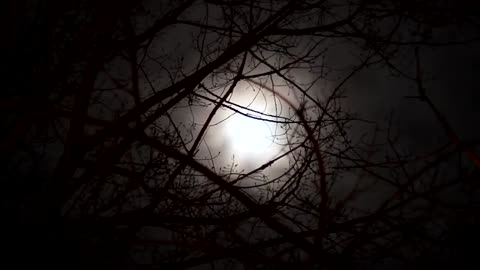 Full moon videos