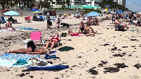 🇺🇸 Hot day at Miami beach walk beach walk 1080P