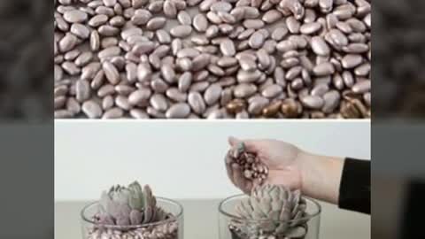 Beautiful stone craft planter decoration and home decor ideas