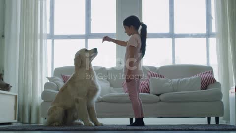 Dog training at home
