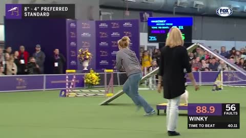 Agility - Championship Final | Crufts 2020