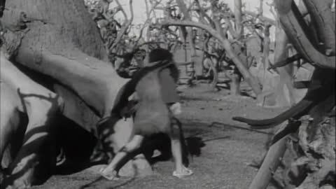 Flash Gordon (1938) Trip to Mars 11 - Human Bait