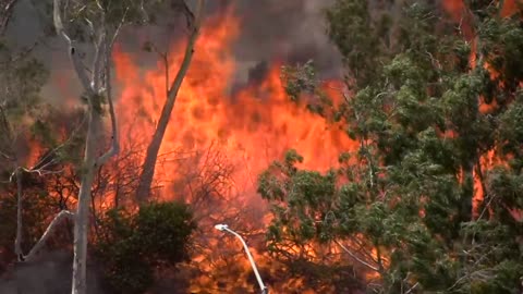 5 Incredible Firenadoes Caught On Camera