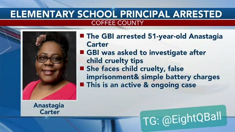 Principal Charged W/Multiple Crimes Against Children (Description)