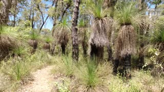 Mount Dale Shelter on the Bibbulmun Track