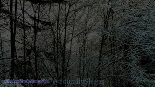 2 Hours of Light Snowfall (Screen Darkens after 1 Hour)