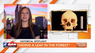 Tipping Point - Historical Spotlight - “Hiding a Leaf In the Forest”