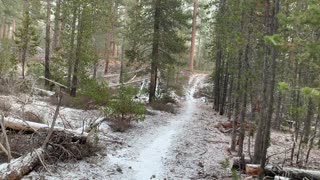 Central Oregon – Edison Sno-Park – Pine-ing in the Falling Snow