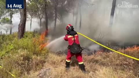 Wildfires tear through forests in Spain's south-eastern Valencia region