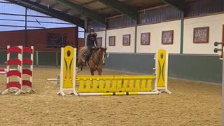 Girl Falls From Horse During Showjumping Training