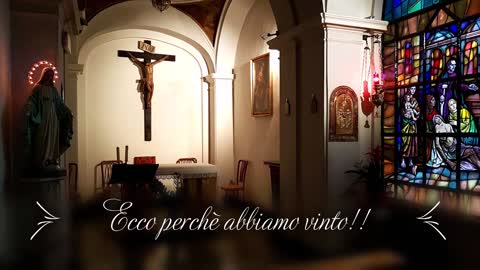 GALLINE, UOVA, AMORE E SEMPLICITÀ - “ECCO PERCHÈ NOI ABBIAMO GIÀ VINTO!!”😇💖👍(...vi faremo sapere...)