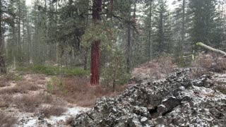 The Sound of Silence – Central Oregon – Edison Sno-Park