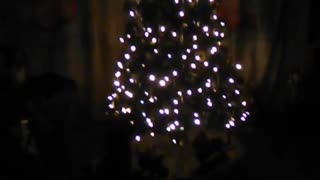 Silent Night (Beautiful Christmas Tree)