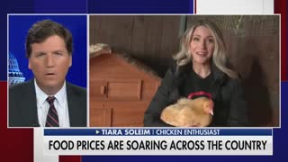 ‘The Chicken Lady’ joins Tucker to talk skyrocketing egg prices