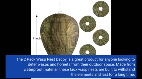 Customer Feedback: 2 Pack Wasp Nest Decoy Wasp Deterrent for Hornets Yellow Jackets Outdoor Wat...