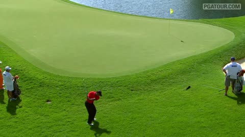 Top 10 PGA Tour shots by Tiger Woods