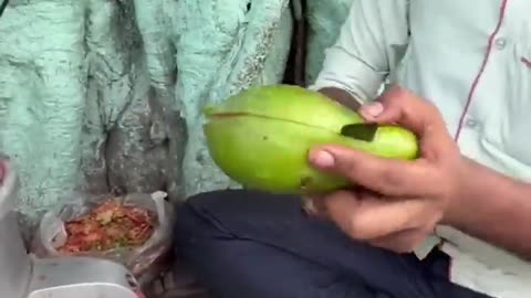 India juice maker