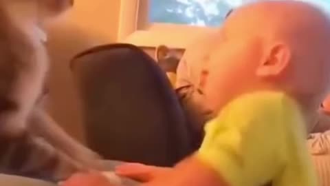 Cute baby and cat funny and love video😍💖😅