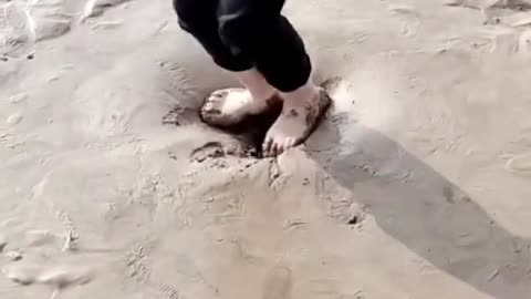 Jumping on quicksand