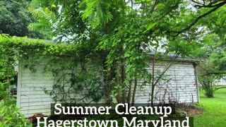 Summer Cleanup Hagerstown Maryland Landscaping Contractor