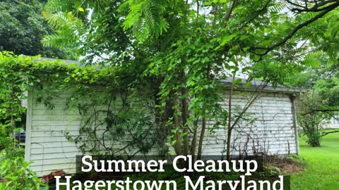 Summer Cleanup Hagerstown Maryland Landscaping Contractor