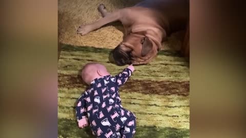 Baby falling in love with his dog on the floor, cute and amazing