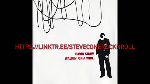 My Discography Episode 24: Walkin' On A Wire David Shaw Steve Cone Rock N Roll Music