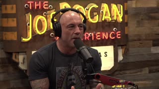 joe rogan says desantis cant compete with trump