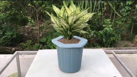 Creative And Simple- Cast unique cement pots