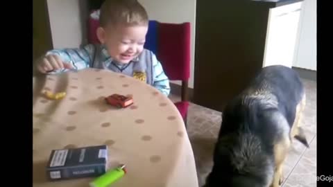 Baby can't stop laughing when feeding his DOG.