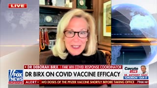 Dr. Deborah Birx knew the Covid vaccine would not protect from infection