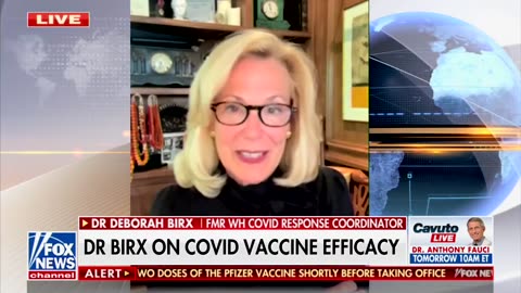 Dr. Deborah Birx knew the Covid vaccine would not protect from infection