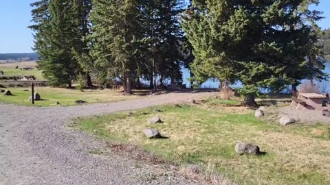 Felker lake campgrounds bc canada
