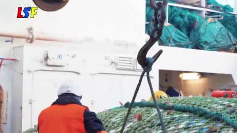 Big Net fishing, processing on a frozen fishing boat - Catching & Producing Frozen At Sea
