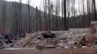 The Terror of Wildfires & What Needs To Be Done To Better Manage Forests