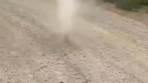 Dog Stops Tornado from Forming