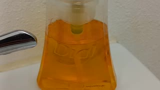 Dial hand soap