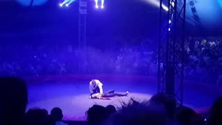 In Barnaul, a circus artist fell from a height and fell into the arena during a performance