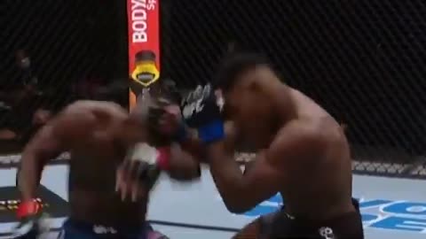 Best Knockout in UFC HISTORY FULL FIGHT Impa Kasanganay vs. Joaquin Buckley Fight Island 5