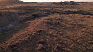 Sharptail Grouse Hunting In Eastern Montana's Missouri River Breaks